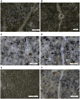 Autogenous Healing in Strain-Hardening Cementitious Materials With and Without Superabsorbent Polymers: An 8-Year Study